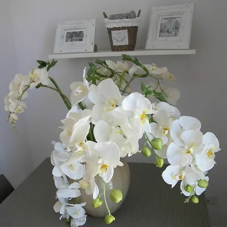 Guest House Suite 4* Ольбия