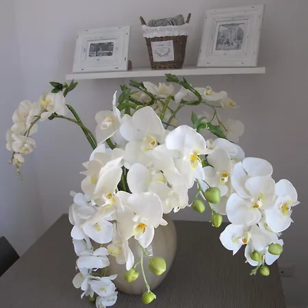 Guest House Suite 3* Olbia