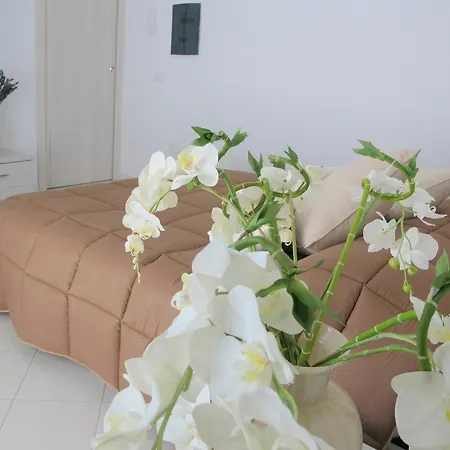 Guest House Suite 4* Ольбия