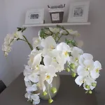 Guest House Suite 3* Olbia