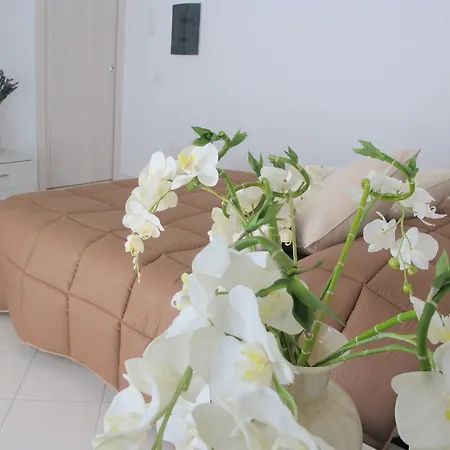 Guest House Suite Όλμπια