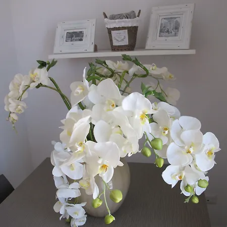 Guest House Suite 3* Όλμπια