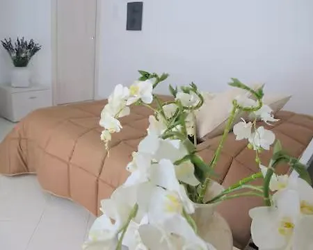 Guest House Suite