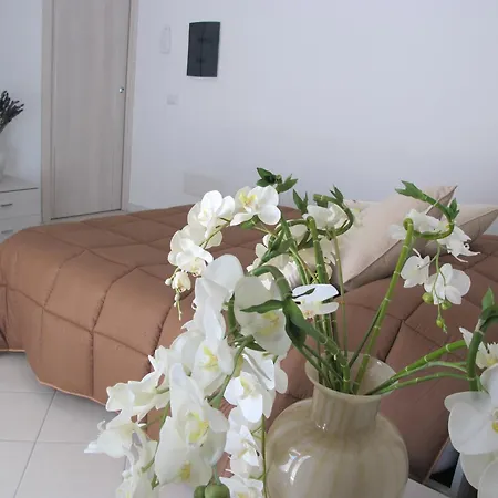 Guest House Suite 3* Olbia