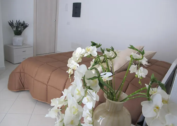 Guest House Suite 3* Ольбия